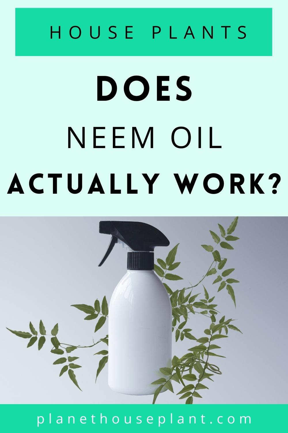 does neem oil work on house plants? Houseplant