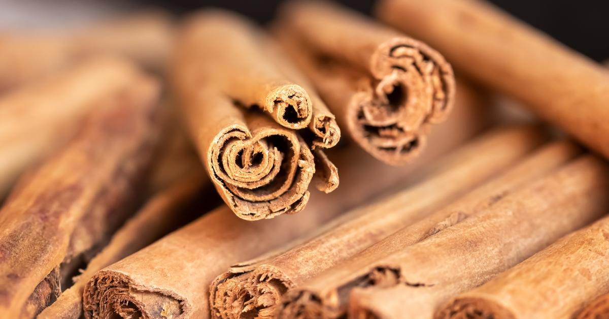 The Complete Guide to Using Cinnamon On Your Houseplants