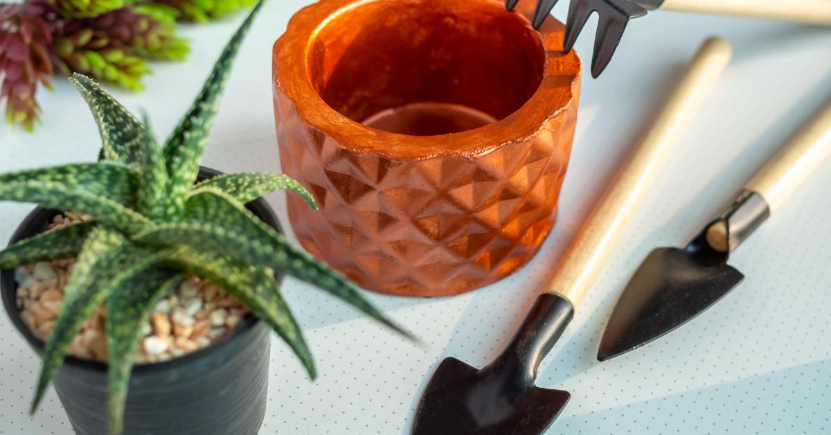 Alternatives To Using Rocks In Planters Houseplant