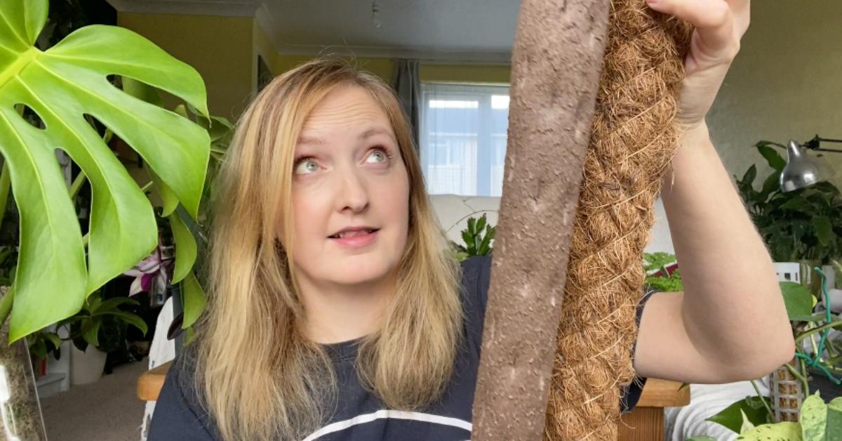 Moss Poles Are Great, But Here Are Some Alternatives - Planet Houseplant